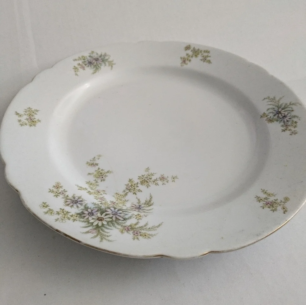 Vintage/Antique Floral china Platter